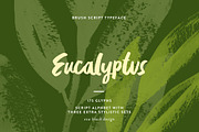 Eucalyptus Brush Script, a Script Font by Eva Black Design (Thumbnail 1 of 4)