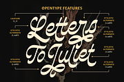 Royalter Script, a Script Font by Abbasy Studio (Thumbnail 2 of 10)