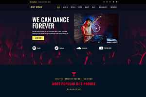 LT Disco Onepage Nightclub WordPress