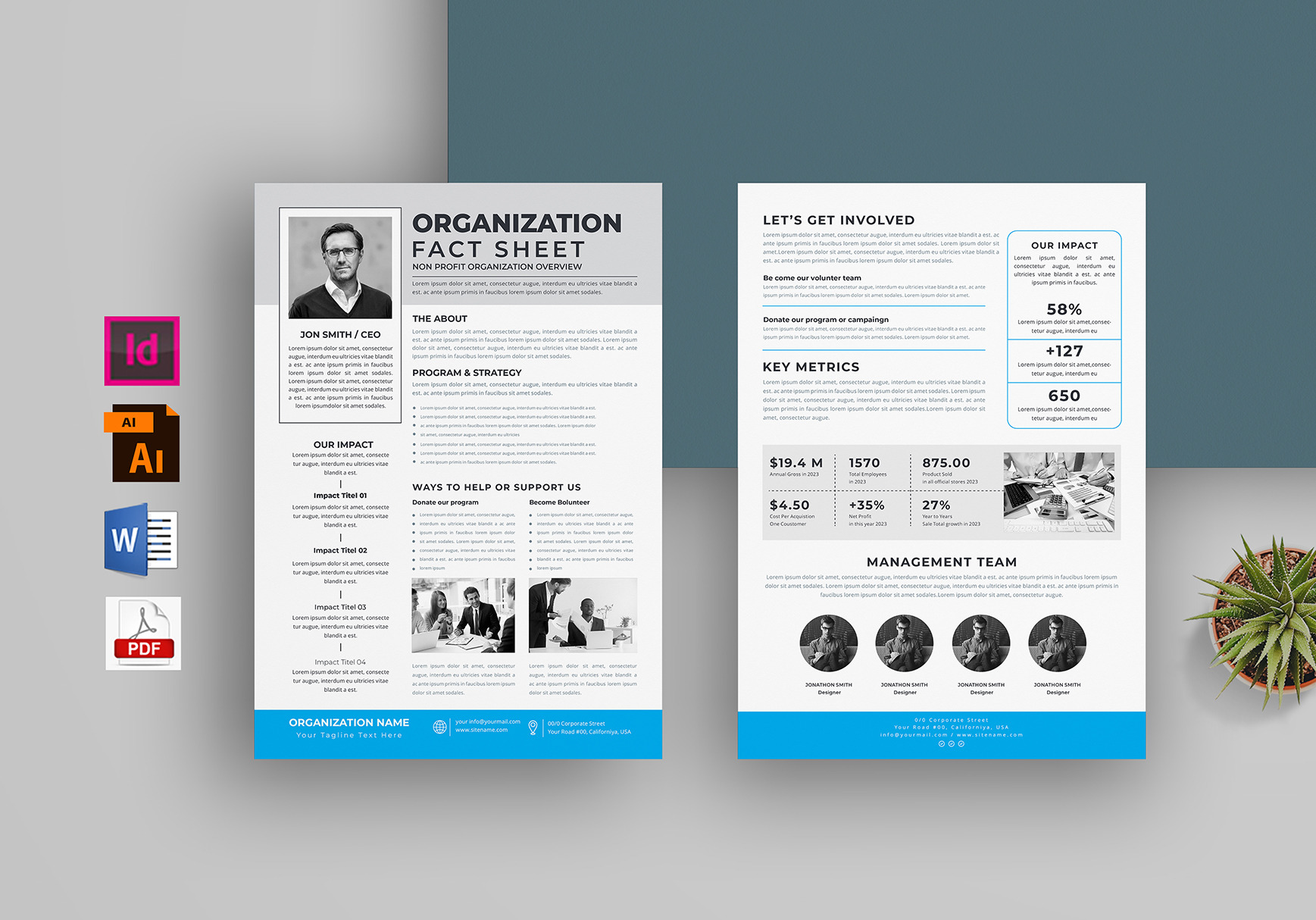 Nonprofit Organization Fact Sheet, a Flyer Template by obayes