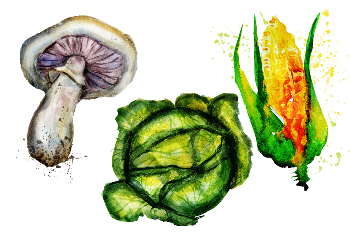 vegetarian set, a Food Illustration by art_mouse (Photo 4 of 10)