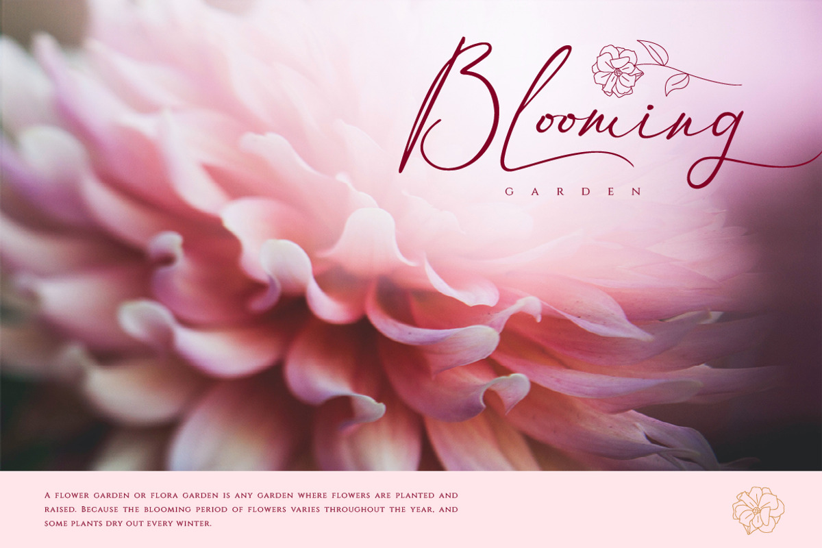 Themollina, a Script Font by kerismaker (Photo 7 of 12)