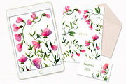 Sweet Pea clipart, birthmonth flower, a Decorative Illustration by swiejko (Thumbnail 4 of 5)