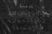 I Kept Your Letters Script Font, a Script Font by The October Creative (Thumbnail 3 of 8)