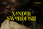 Xander Swordfish Ligature Serif Font, a Serif Font by UICreative (Thumbnail 1 of 13)