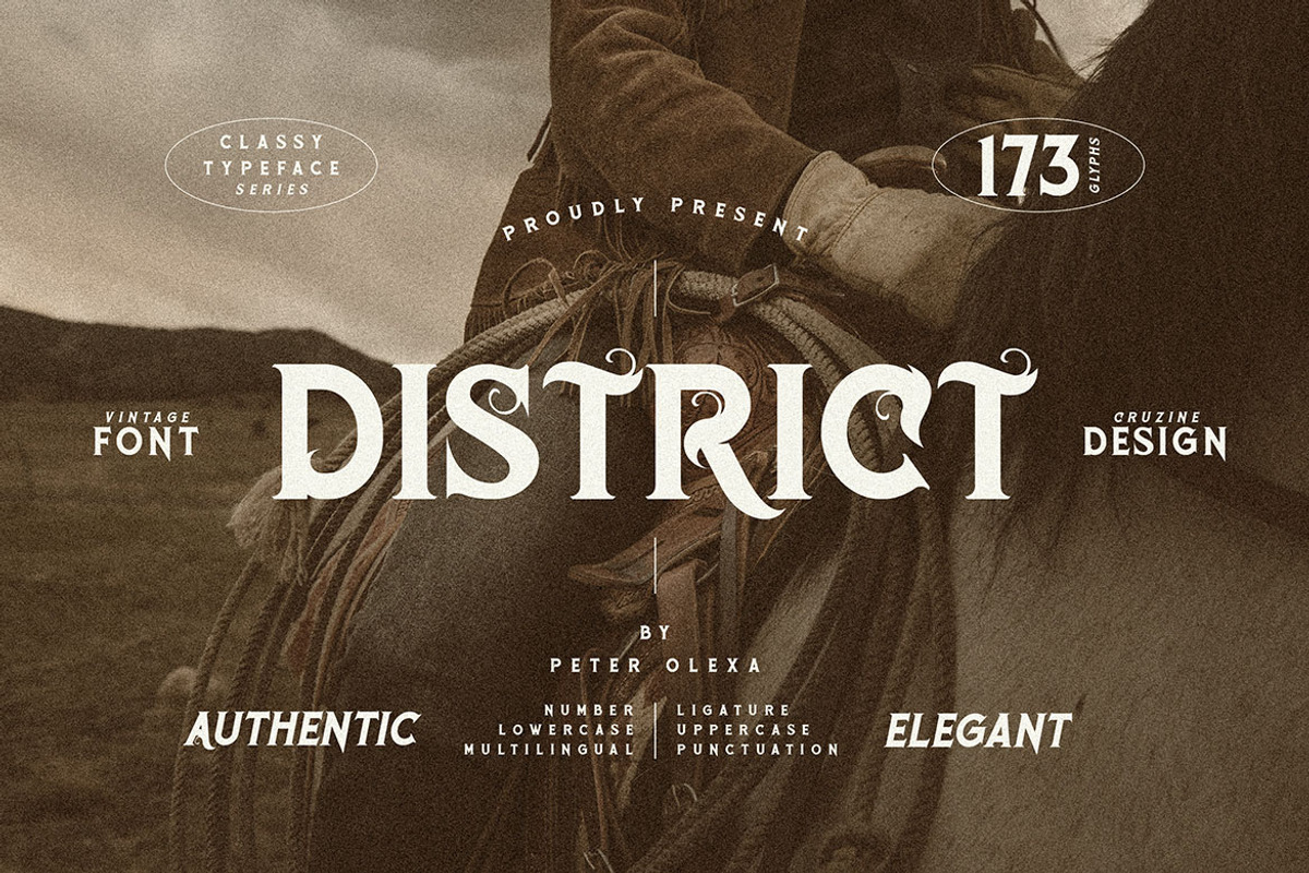 District Vintage Serif, a Serif Font by JumboDesign (Photo 1 of 8)