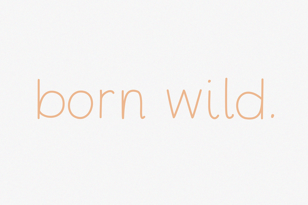 Poetry | Modern Minimal Sans Duo preview 2