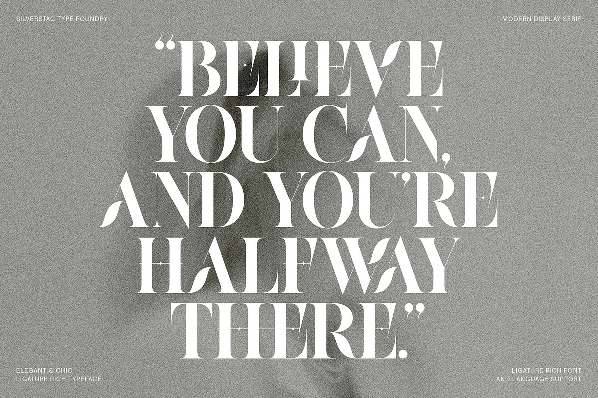 Raving Display Editorial Serif Font, a Serif Font by SilverStag Type Foundry (Photo 27 of 30)