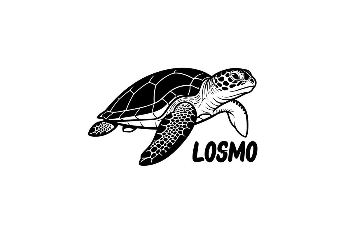 50 Sea Turtle Vector Silhouette Bund, an Illustration by jahid234 (Photo 14 of 51)
