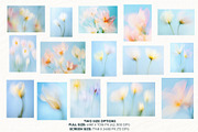 30 Soft Blurred Florals Backgrounds, a Background Graphic by lerinartstudio (Thumbnail 11 of 13)