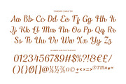 Nadlines - Script Family, a Script Font by Novitype (Thumbnail 12 of 13)