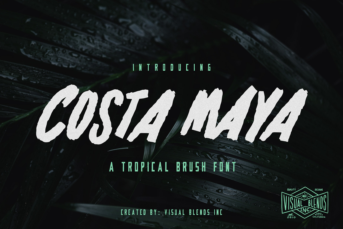 Costa Maya - Tropical Brush Font, a Script Font by Visual Blends (Photo 1 of 6)