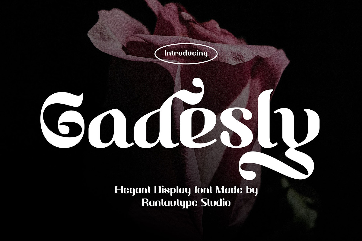 Gadesly Elegant Display Font, a Blackletter Font by RantautypeStudio (Photo 3 of 13)