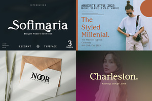 The 2021 Elegant BUNDLE-12 Typefaces