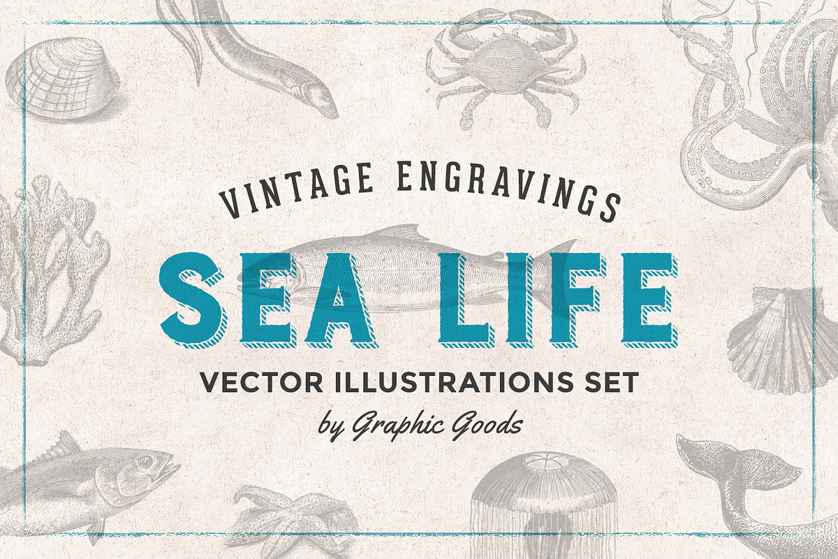 Fishes & Sea Life Engravings Set, a Food Illustration by Graphic Goods (Photo 1 of 7)