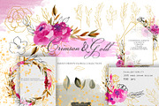 Crimson and Gold collection, an Illustration by Skliarova (Thumbnail 1 of 14)
