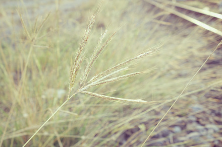 Beautiful Footpath preview 4