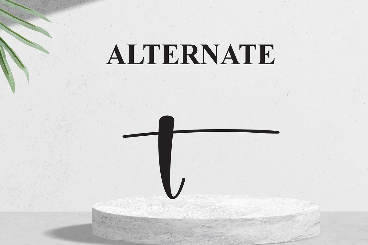 Getback | Script Font, a Handwritten Font by Scratchones (Photo 8 of 9)