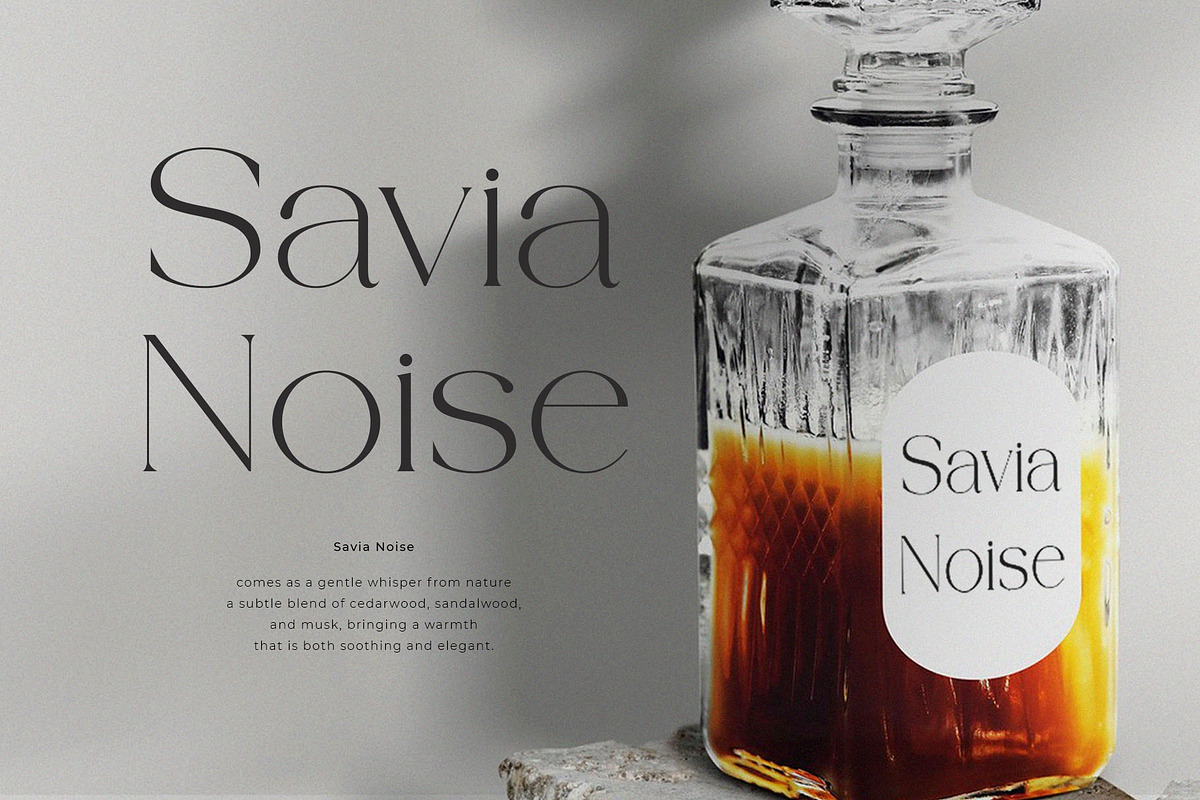 BHYORA | Modern Serif Font, a Serif Font by ToniStudio (Photo 6 of 10)