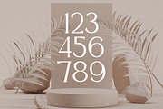 Prestige - Classy Serif Typeface, a Serif Font by HipFonts (Thumbnail 6 of 8)