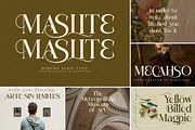 SALE! Modern & Stylish Serif Font, a Serif Font by Storytype Studio (Thumbnail 28 of 41)