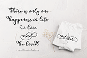 Valentine Silhouette, a Script Font by Aldedesign (Thumbnail 5 of 11)