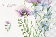 Watercolor Wildflowers Botanical Set, a Decorative Illustration by BarvArt (Thumbnail 21 of 22)