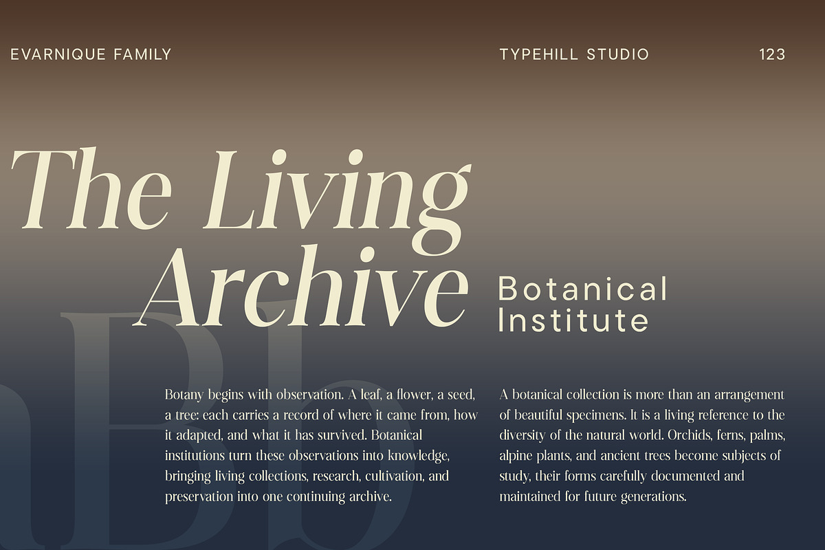 Evarnique, a Serif Font by Typehill (Photo 9 of 14)