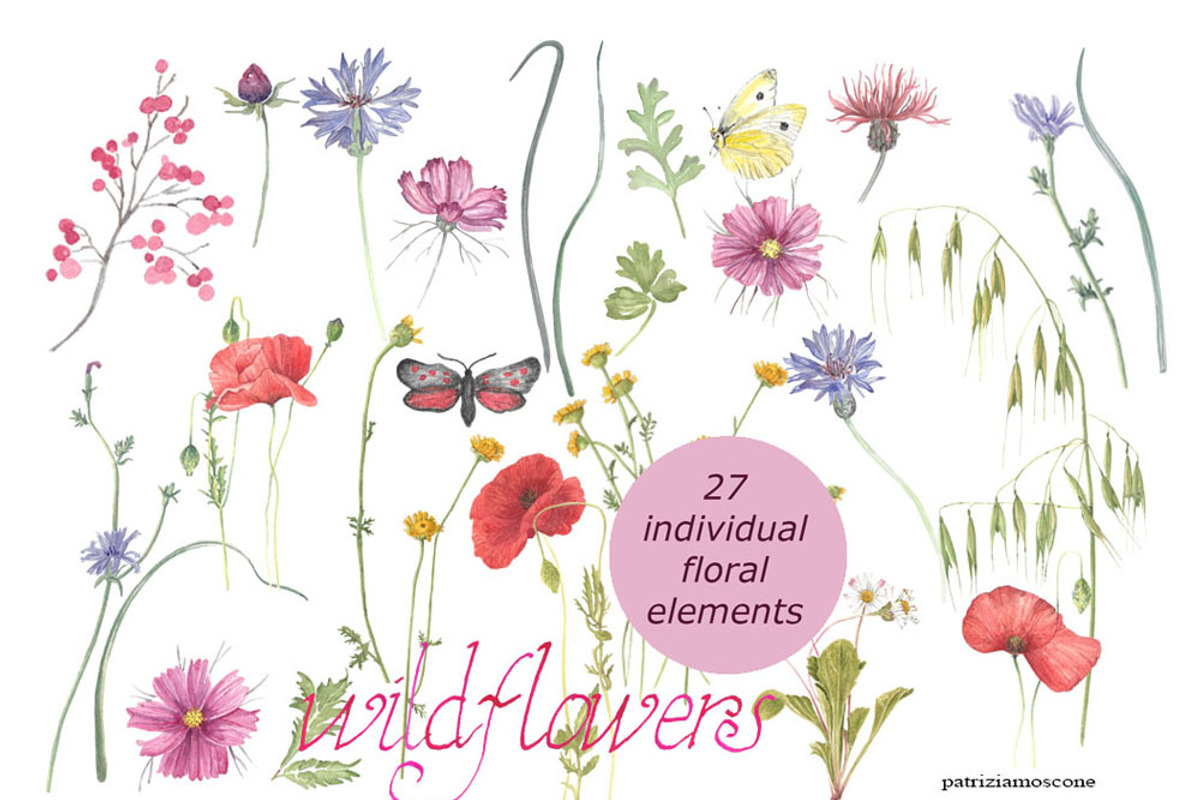 Wildflowers, an Illustration by patriziamoscone (Photo 4 of 10)