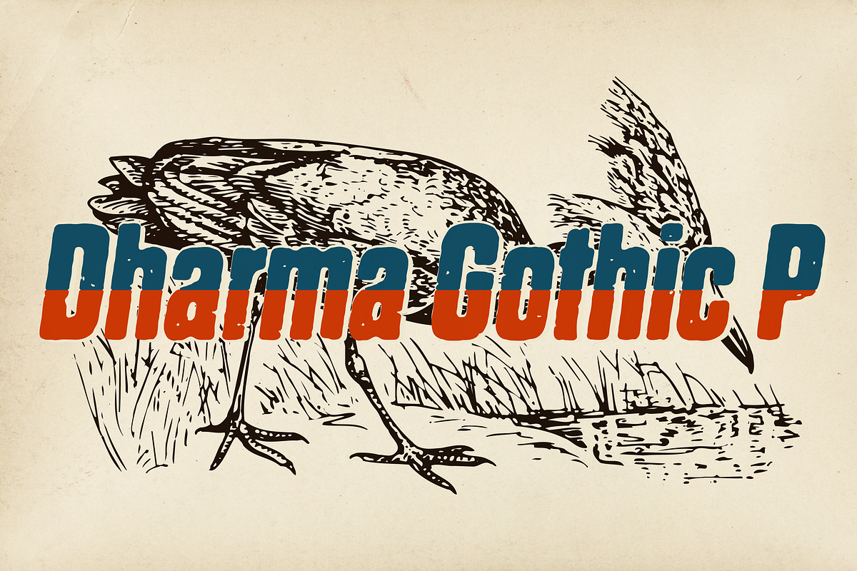 Dharma Gothic P