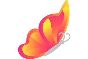 Butterfly Vector Insect Icon