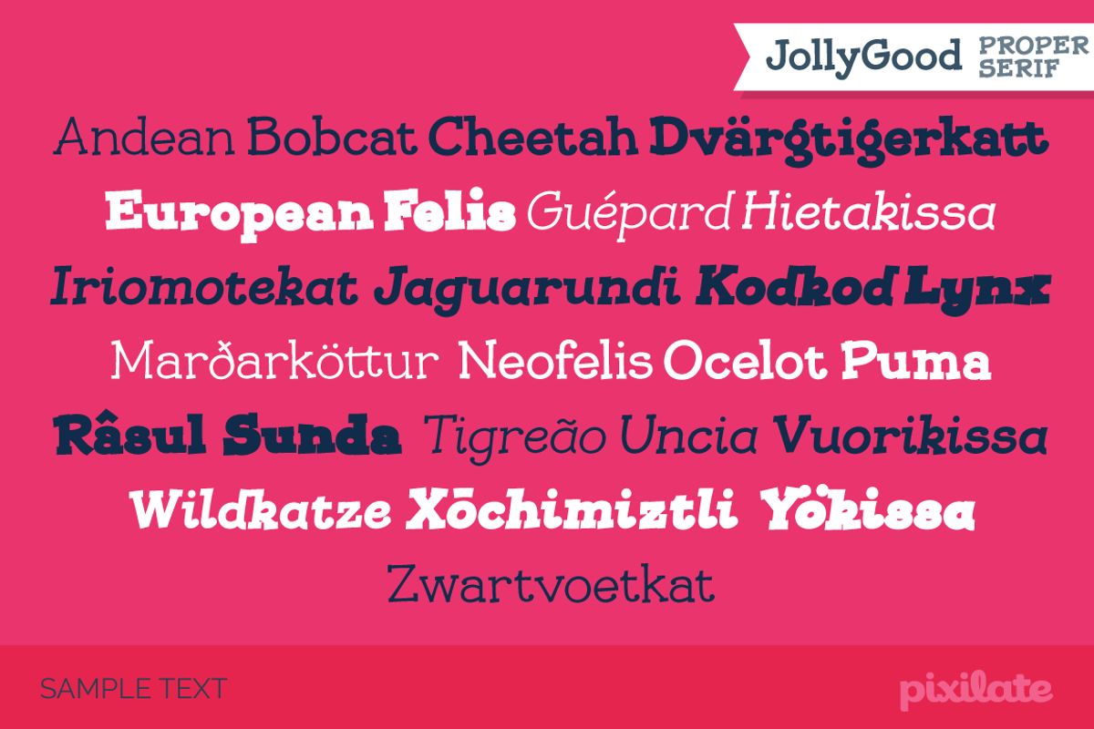 JollyGood Proper Serif preview 5