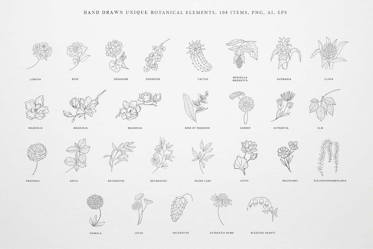 Botany & Moon. Hand Drawn Line Art., a Decorative Illustration by Designwork (Photo 4 of 20)