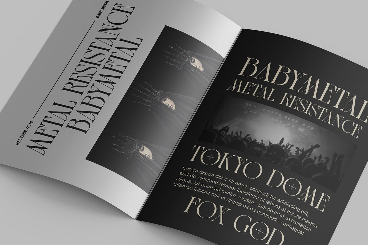 Risean Modern Serif Font, a Serif Font by Luna Shop (Photo 5 of 8)