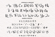 Side | Script Font, a Script Font by Scratchones (Thumbnail 6 of 8)