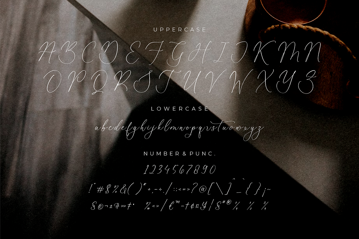 Molgiant Belliontera, a Serif Font by Storytype Studio (Photo 13 of 15)
