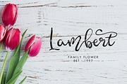 Ammhenthi - NEW!!!, a Script Font by MissinkLab Studio (Thumbnail 9 of 11)
