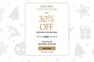 Christmas Sale Email Template