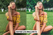 70 Lightroom Presets Artist Bundle, an Action Add-On by Willa (Thumbnail 7 of 23)