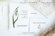 Snowdrop Birth Month Flower Clipart, an Illustration by Ksenia Shmakova (Thumbnail 3 of 9)