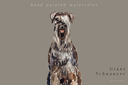 Dod Breeds - watercolor set, an Animal Illustration by Youksy (Thumbnail 6 of 18)