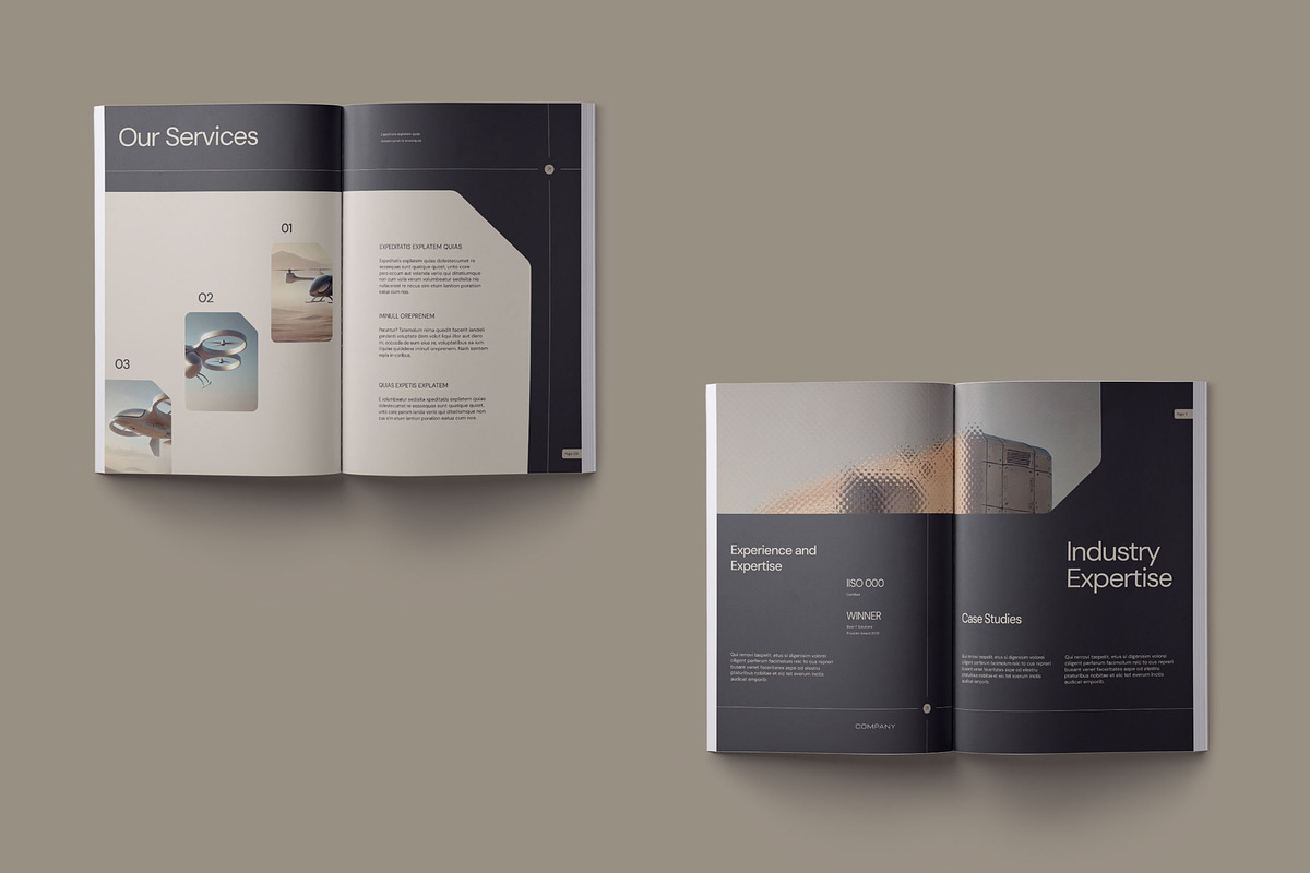 Technology Company Profile - Dezzech preview 5