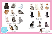 Dogs + Cats Vector Bundle, an Animal Illustration by Lauren Lesley Studio (Thumbnail 2 of 4)