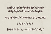 Aqua Tides - Brush Font, a Handwritten Font by Visual Blends (Thumbnail 6 of 6)