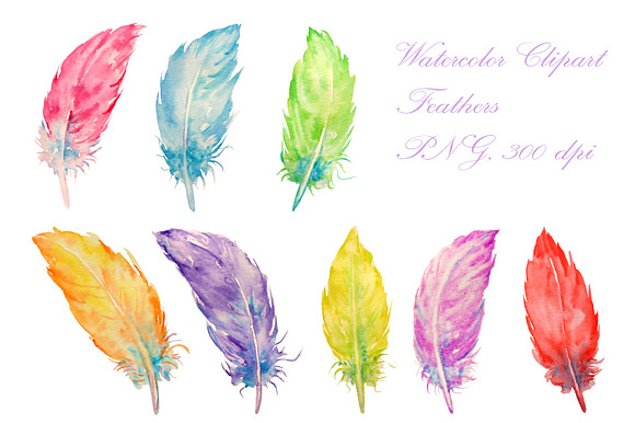 Watercolor Feathers Clipart preview 3