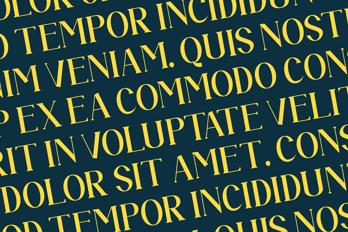 Auronix, a Serif Font by Rishsketch (Photo 11 of 15)