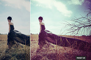 Split Tone Presets Mobile + Desktop, a Plug-in Add-On by PhotoSpirit (Thumbnail 9 of 10)