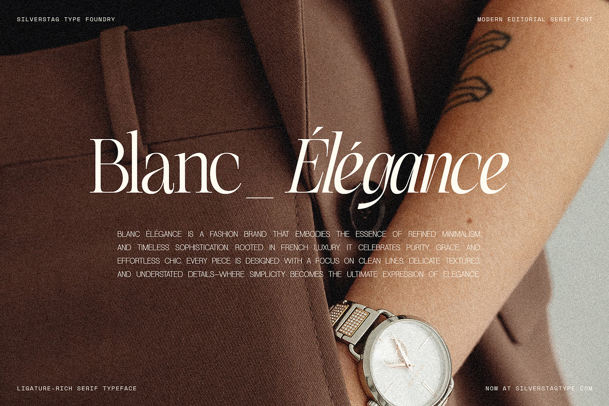 The Elfkin Editorial - Modern Serif, a Serif Font by SilverStag Type Foundry (Photo 15 of 20)