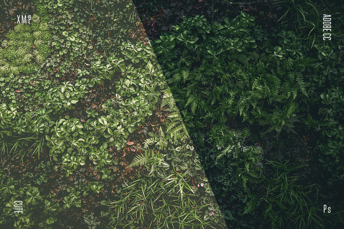 25 Soft Light Presets Ps preview 4