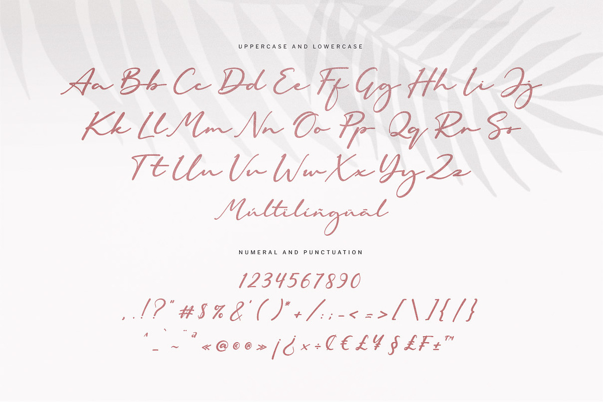 Royal Amigo | Modern Script Font, a Script Font by Ariya Works (Photo 9 of 9)